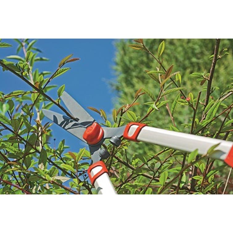 WOLF HS 1000 T PENSASSAKSET TELESKOOPPI