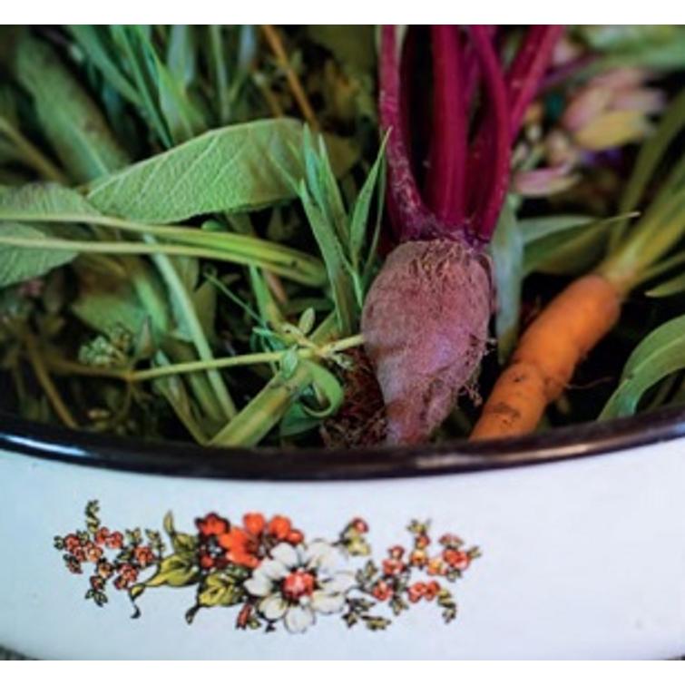 AVOMAANKURKKU VORGEBIRGSTRAUBEN, SÄILÖNT 1203-1