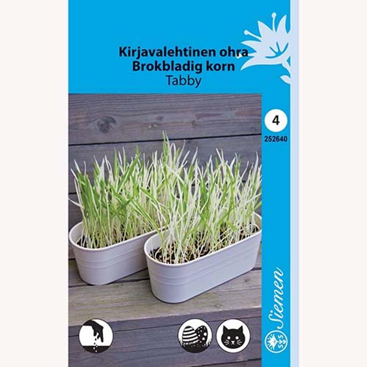 KIRJAVALEHTINEN OHRA TABBY 252640