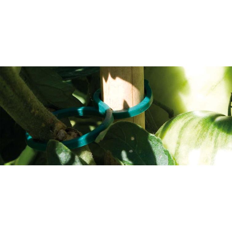 TOMAATTIPIDIKE 20 KPL, NELSON GARDEN 6019