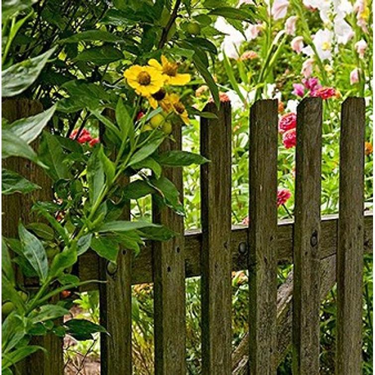 BIO-PUUTARHALANNOITE 6 KG 97159