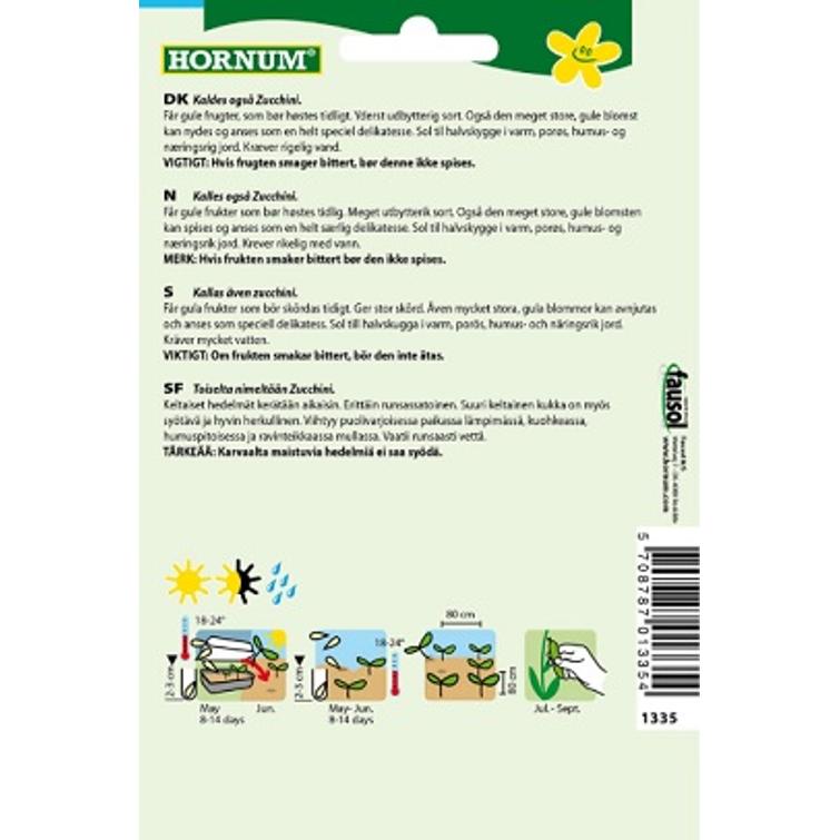 KESÄKURPITSA GOLD RUSH F1