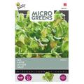 BUZZY MICRO GREENS LEHTISALAATTISEKOITE 980326