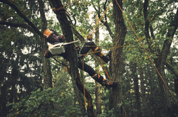 STIHL MSA 190.0 T Akkukäyttöinen moottorisaha