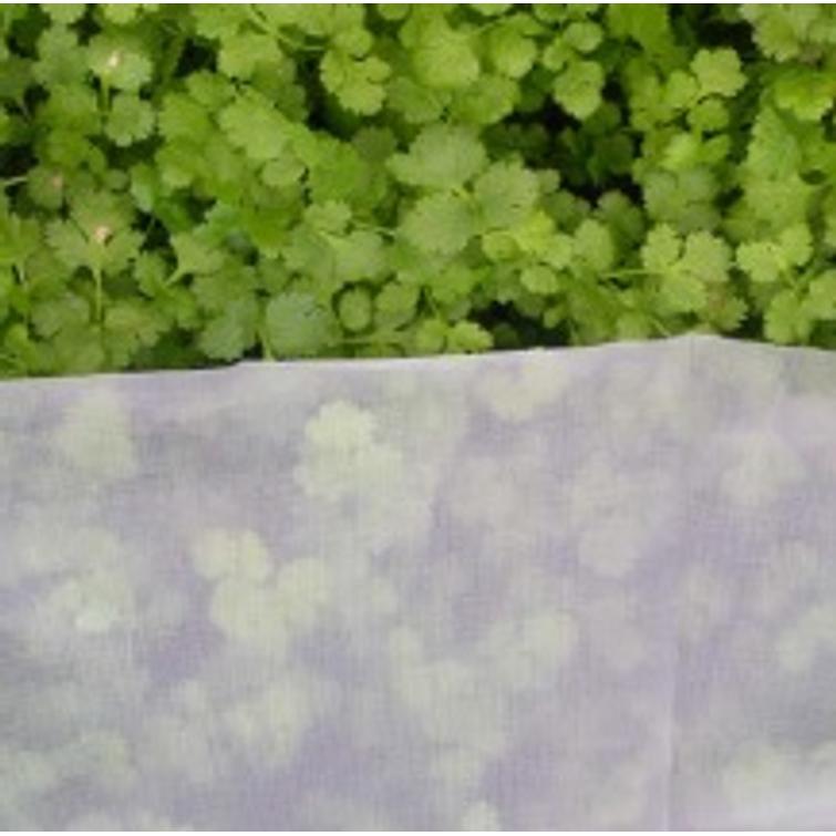 TUHOHYÖNTEISVERKKO 1,4 X 5M 90844