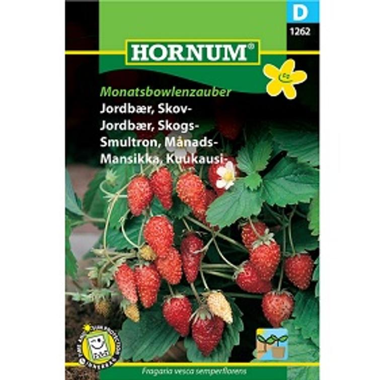 KUUKAUSIMANSIKKA MONATSBOWLENZAUBER 1262