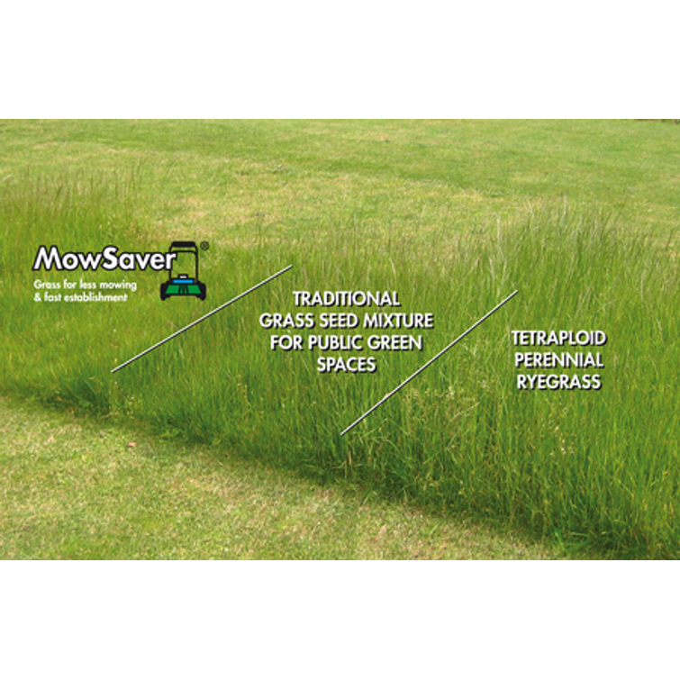 BARENBRUG NURMIKKOSEOS MOW SAVER 1 KG