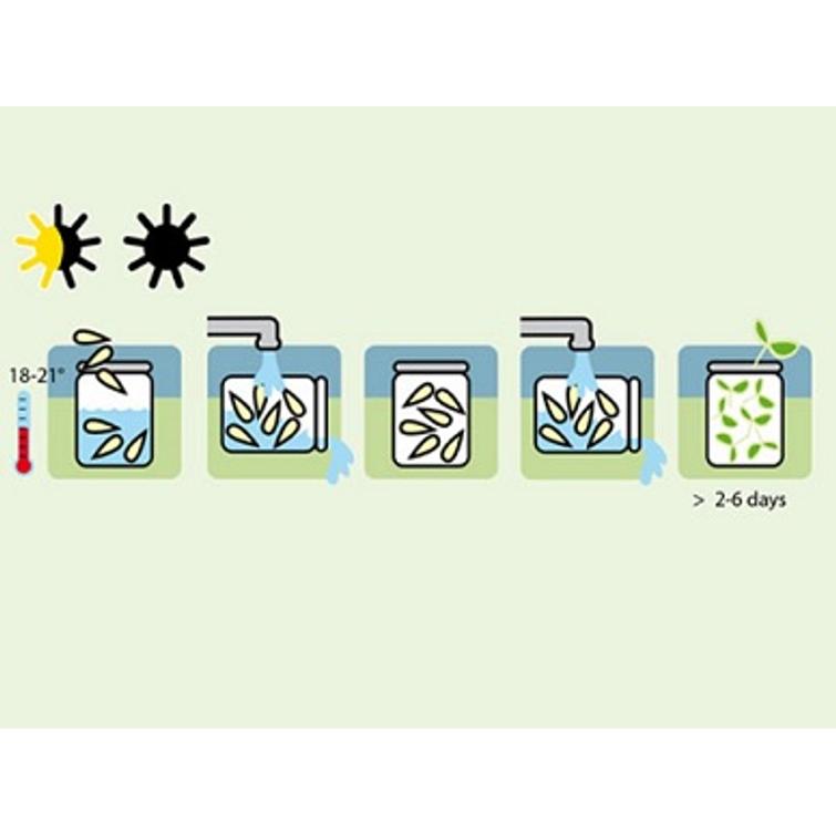 RETIISI-IDUT RADIES RAXE 1329