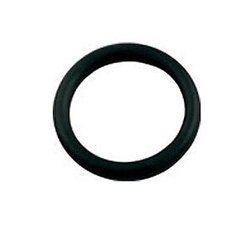 POLARIS O-RING