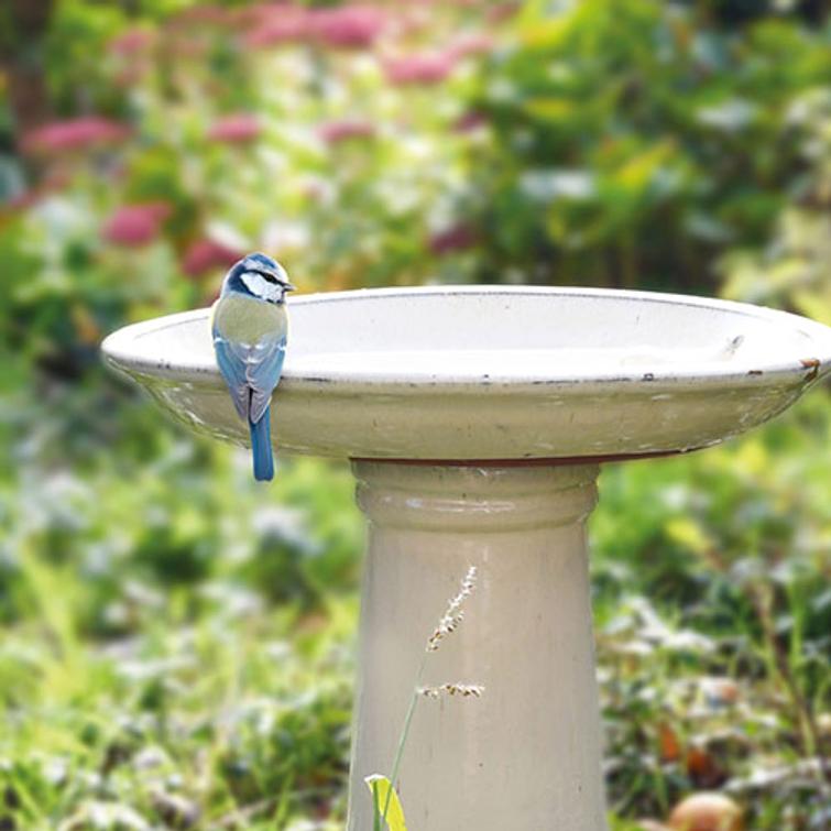 LINTUJEN KYLPYALLAS JALALLA CREAM FB423