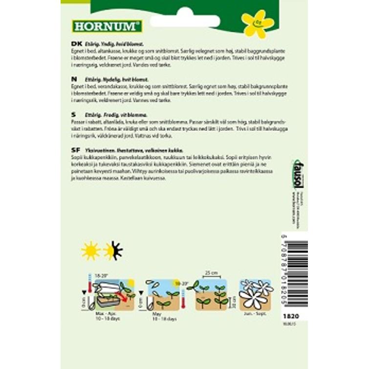 LEIJONANKITA WINNER 1821