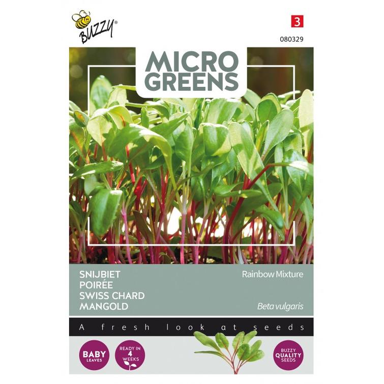 BUZZY MICRO GREENS LEHTIMANGOLDI RAINBOW 980329