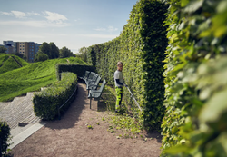 HUSQVARNA 525IHE4 EI AKKU/LATURI, IPX4, PITKÄ RUNKOP. + SÄÄD.KULMA