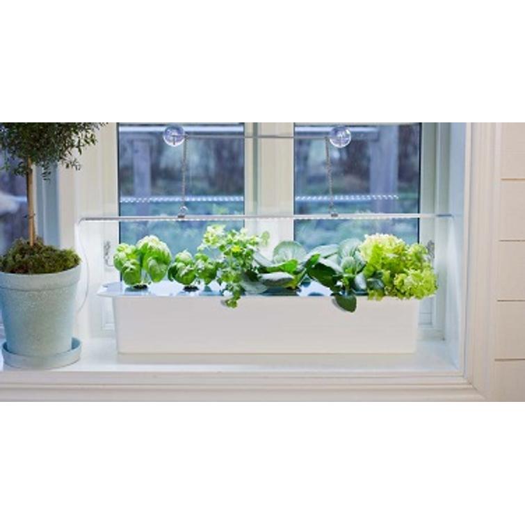 VILJELYLAATIKKO HYDROVILJELYYN HARVY 6, 5551