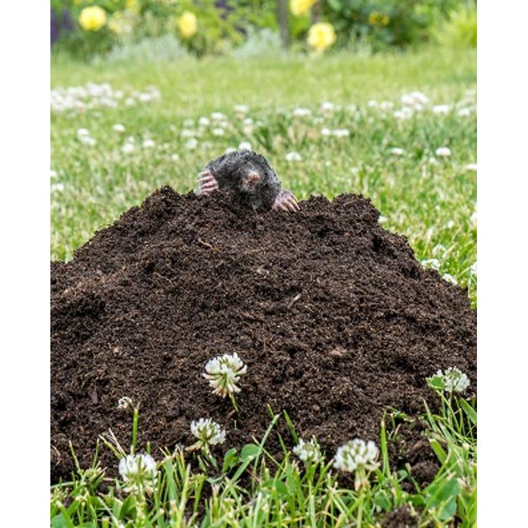 Weitech Myyräkarkotin 870013