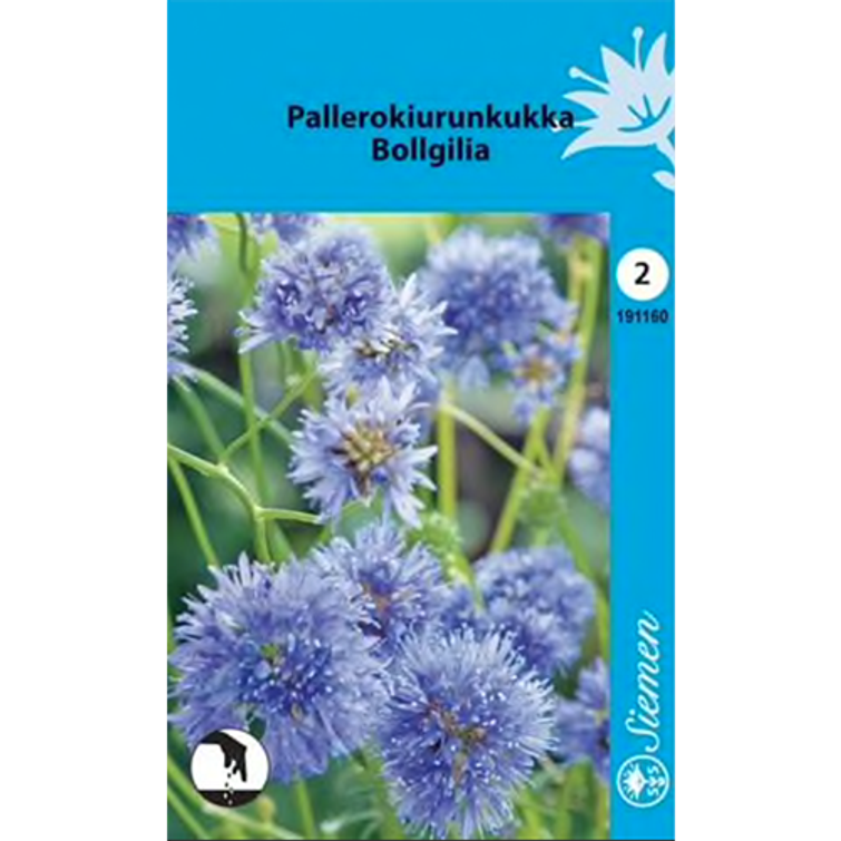 PALLEROKIURUNKUKKA 191160