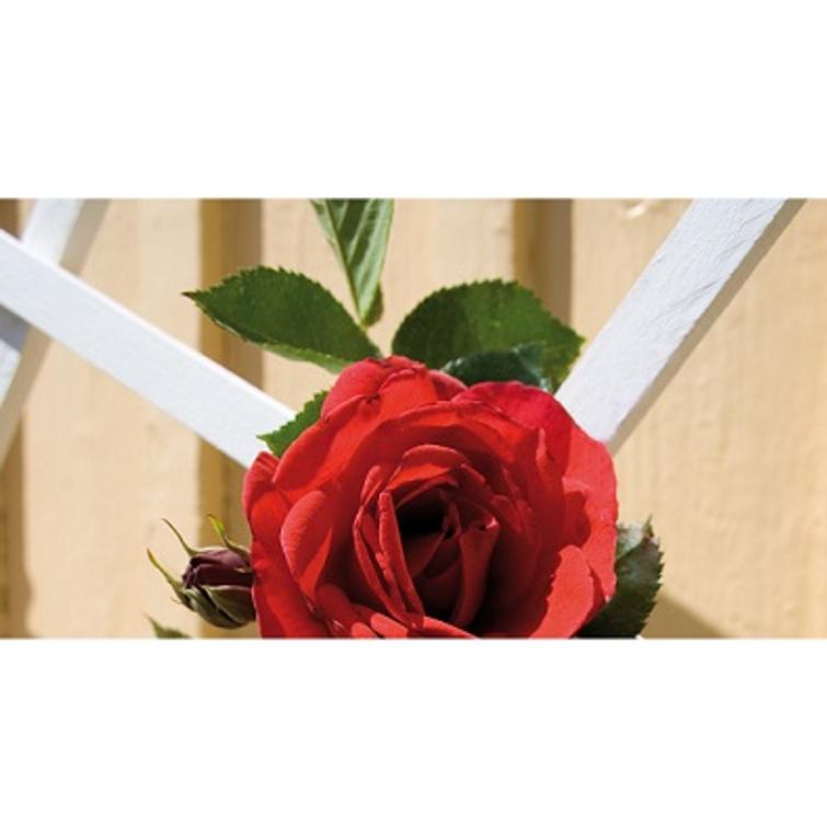 SÄLEIKKÖ MUOVI 70 X 180 CM, NELSON GARDE 5168