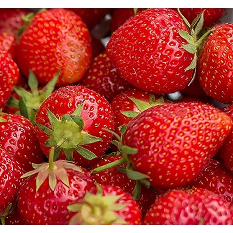 BIO-PUUTARHALANNOITE 6 KG 97159