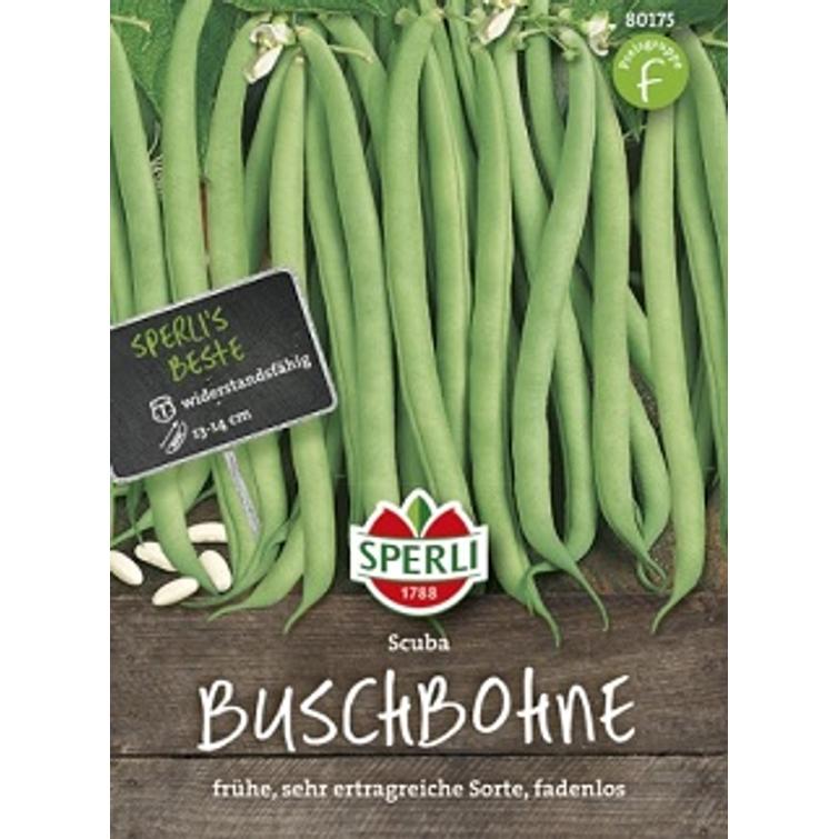 PENSASPAPU SCUBA 100G, SPERLI 125521