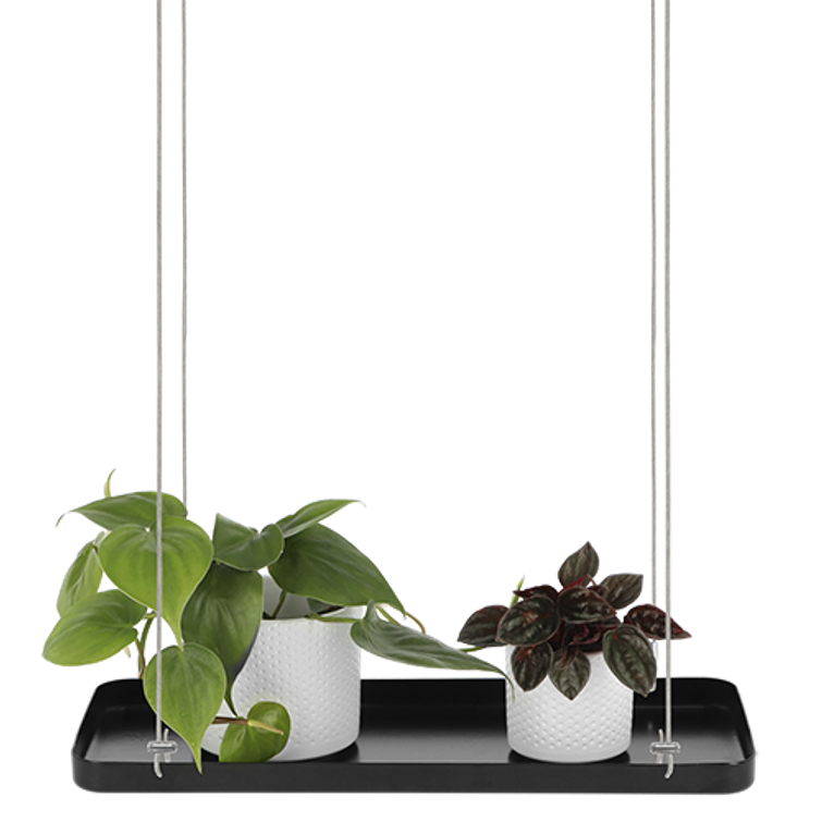 AMPPELI WINDOW DRESSING SUORAKULMIO 38 PY107