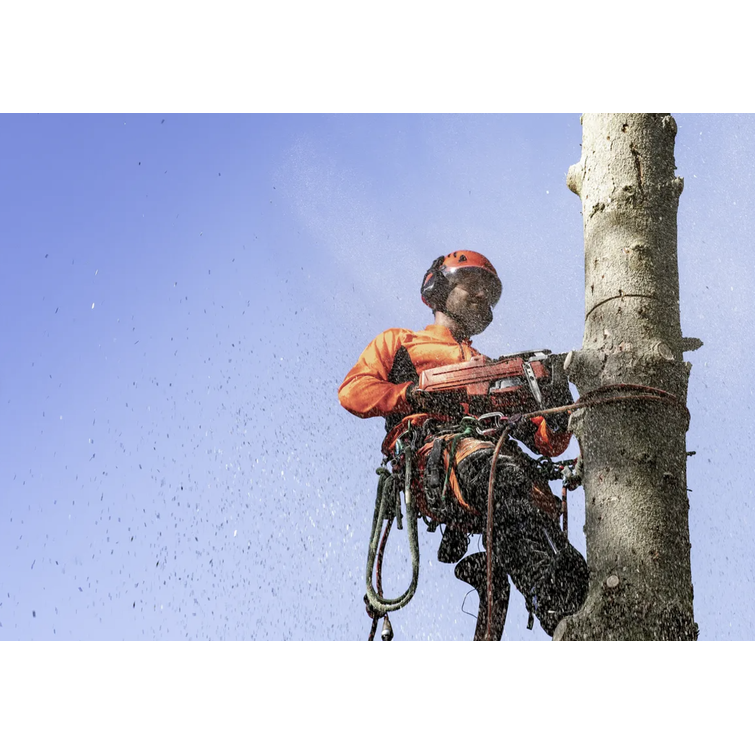 HUSQVARNA 550XPG II, 13" .325"