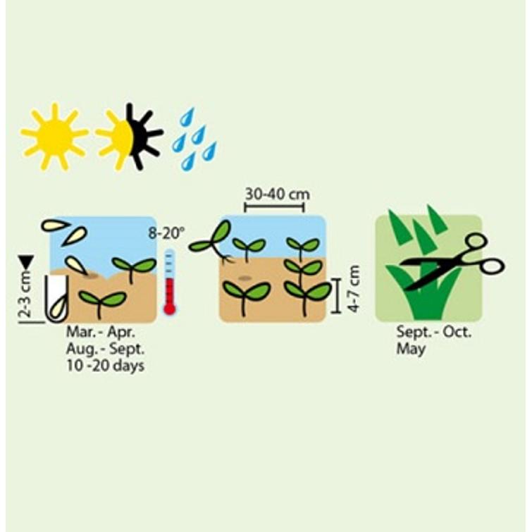 MUSTAJUURI HOFFMANNS SCHWARZER PFAHL 1323