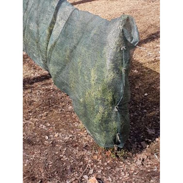 Varjostus - ja tuuliverkko 2 x 50 m 92114