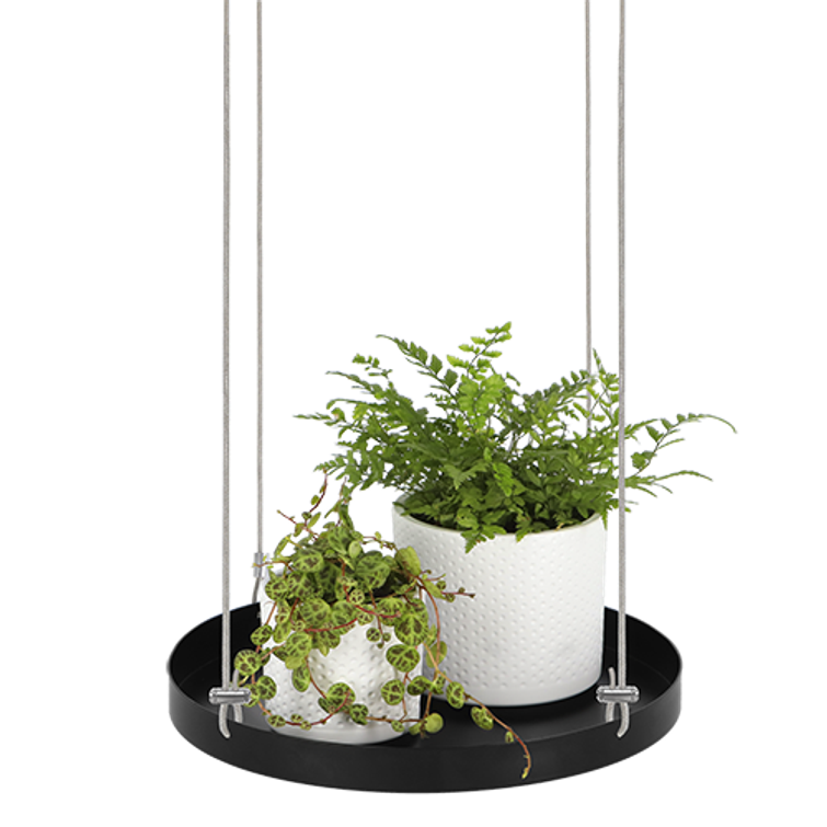 AMPPELI WINDOW DRESSING PYÖREÄ 24 CM