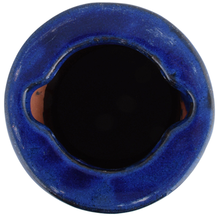 LINTUJEN KYLPYALLAS JALALLA PETROL FB422