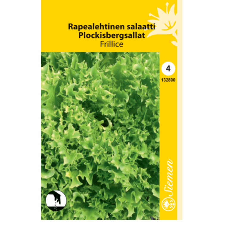 RAPEALEHTINEN SALAATTI FRILLICE, SIEMEN 132800