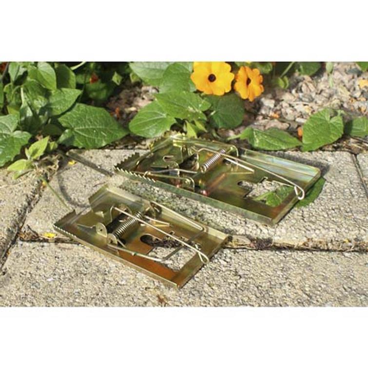 HIIRENLOUKKU METALLI