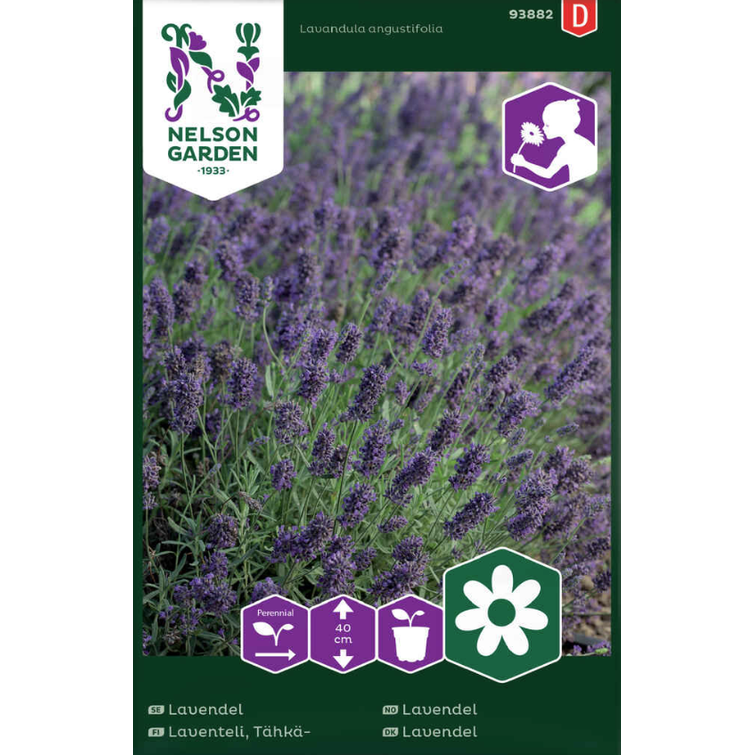 TÄHKÄLAVENTELI VIENCO PURPLE 53385