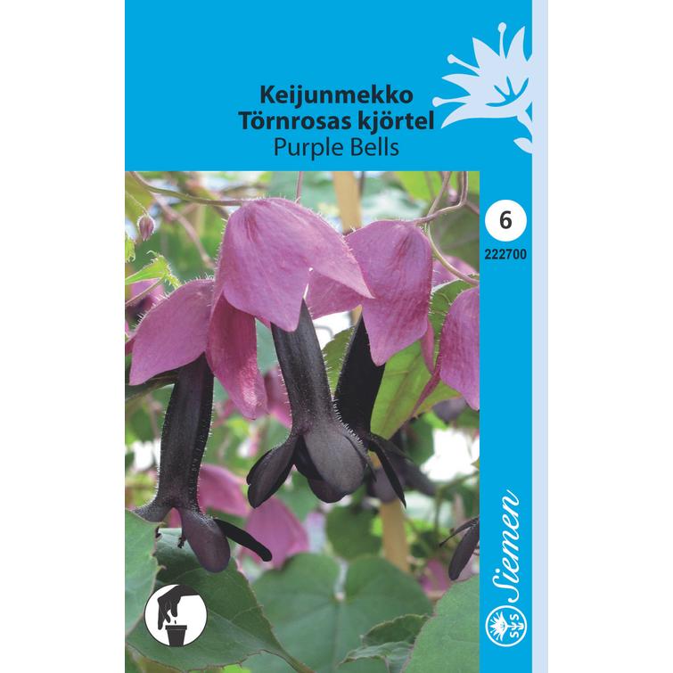 KEIJUNMEKKO PURPLE BELLS
