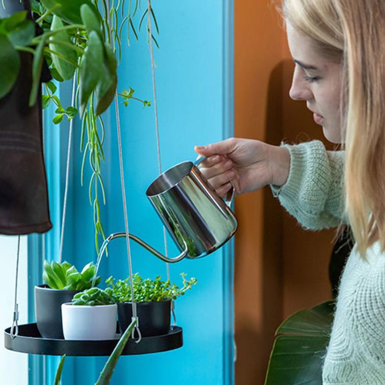 AMPPELI WINDOW DRESSING PYÖREÄ 24 CM