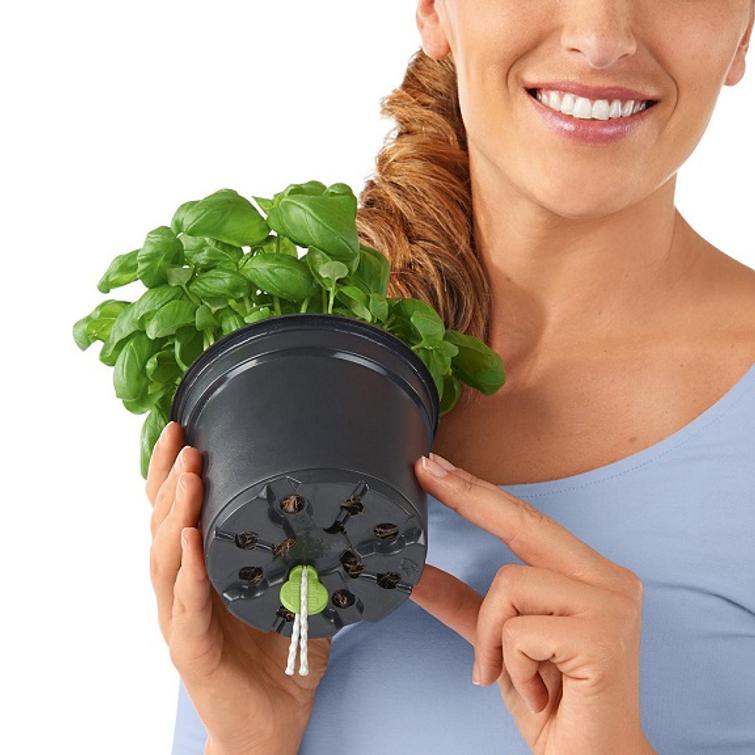 ALTAKASTELURUUKKU TREND CUBE, HARMAA LEC 13384