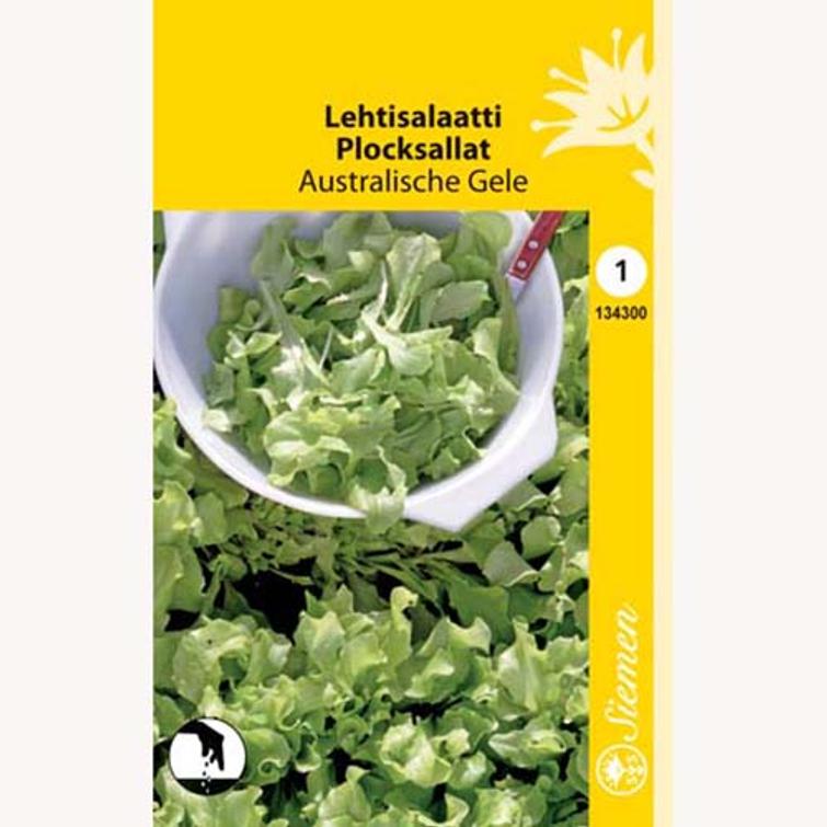 LEHTISALAATTI AUSTRALISCHE GELE, SIEMEN 134300