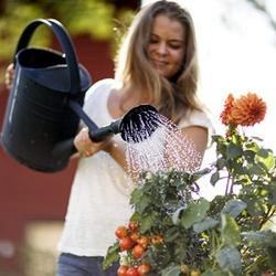 Etupyörä 19-622 Acera Alex X2100