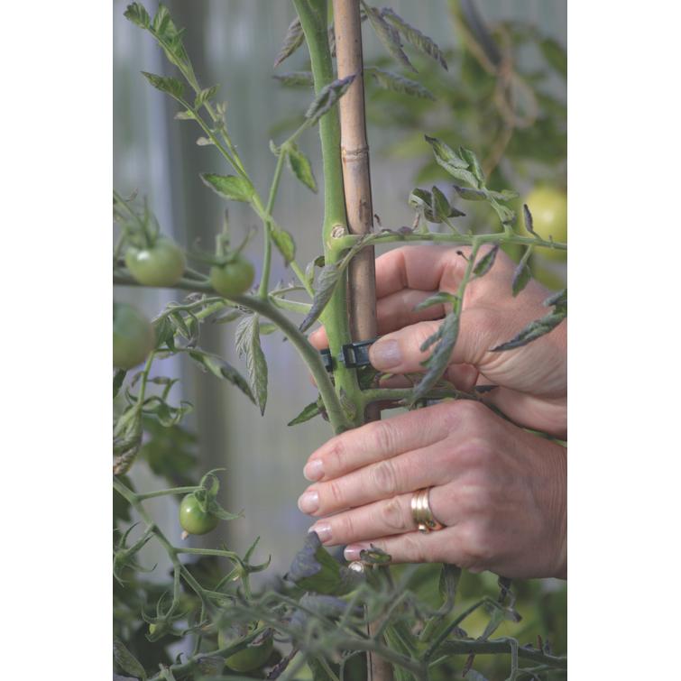 KASVIPIDIKE STRONG 12 KPL 6012