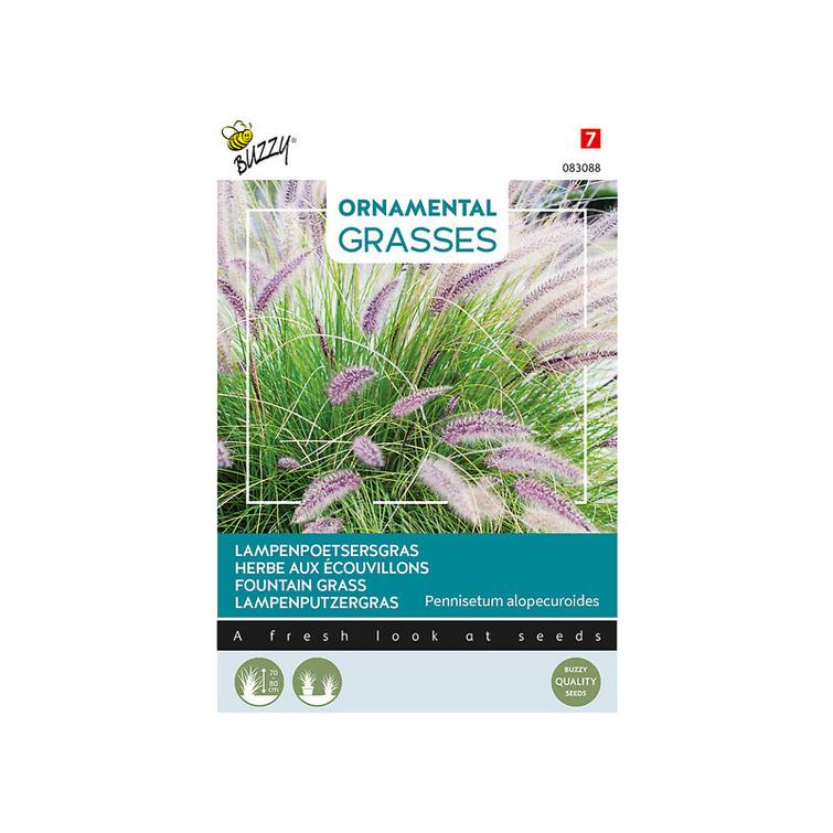 BUZZY KORISTESULKAHIRSSI, SIEMEN 983088