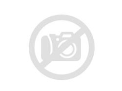 POLARIS BUSHING DU P90X