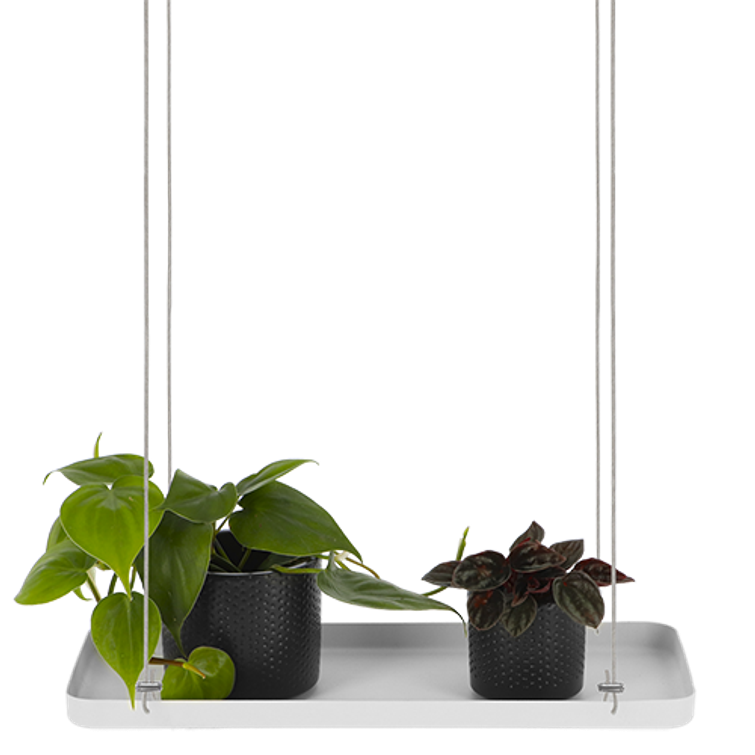 AMPPELI WINDOW DRESSING SUORAKULMIO 38 PY107