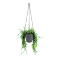 Elho Loft Urban Amppeli harmaa 4302210
