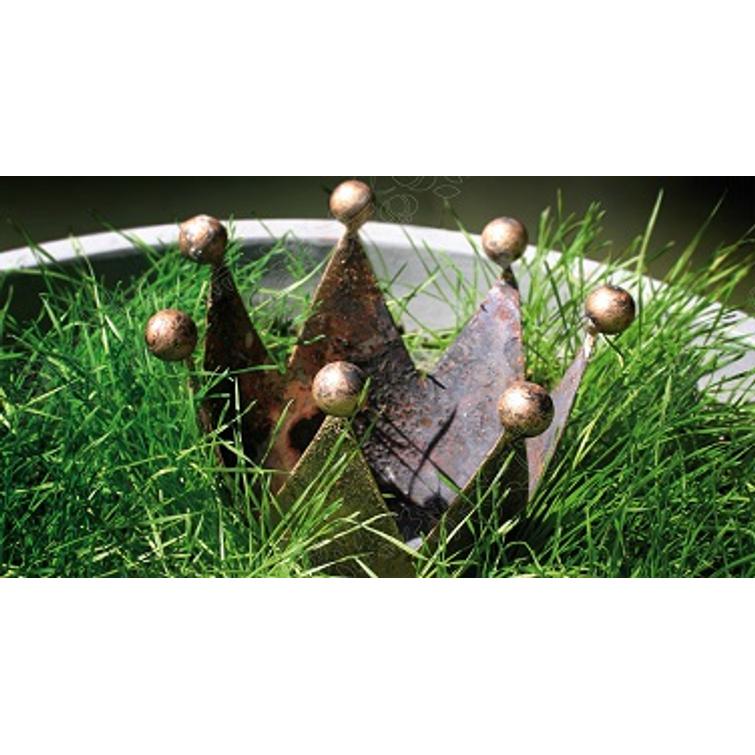 PÄÄSIÄISRUOHO ANNOSSIEMEN, NELSON GARDEN 5267