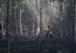 HUSQVARNA 545FXT AUTOTUNE, SCARLETT 225-24 1", BALANCE XT, L&Auml;MP&Ouml;K