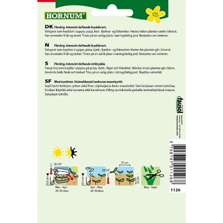 TIMJAMI DI ROMA 1126