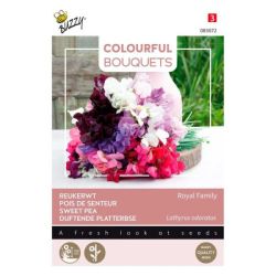 BUZZY COLOURFUL BOUQUETS ROYAL FAMILY 83072