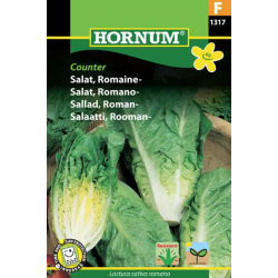 Salaatti, Rooman- Xanaduannossiemen Horn 1317