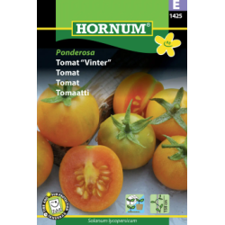 Tomaatti Ponderosaannossiemen Hornum 1425